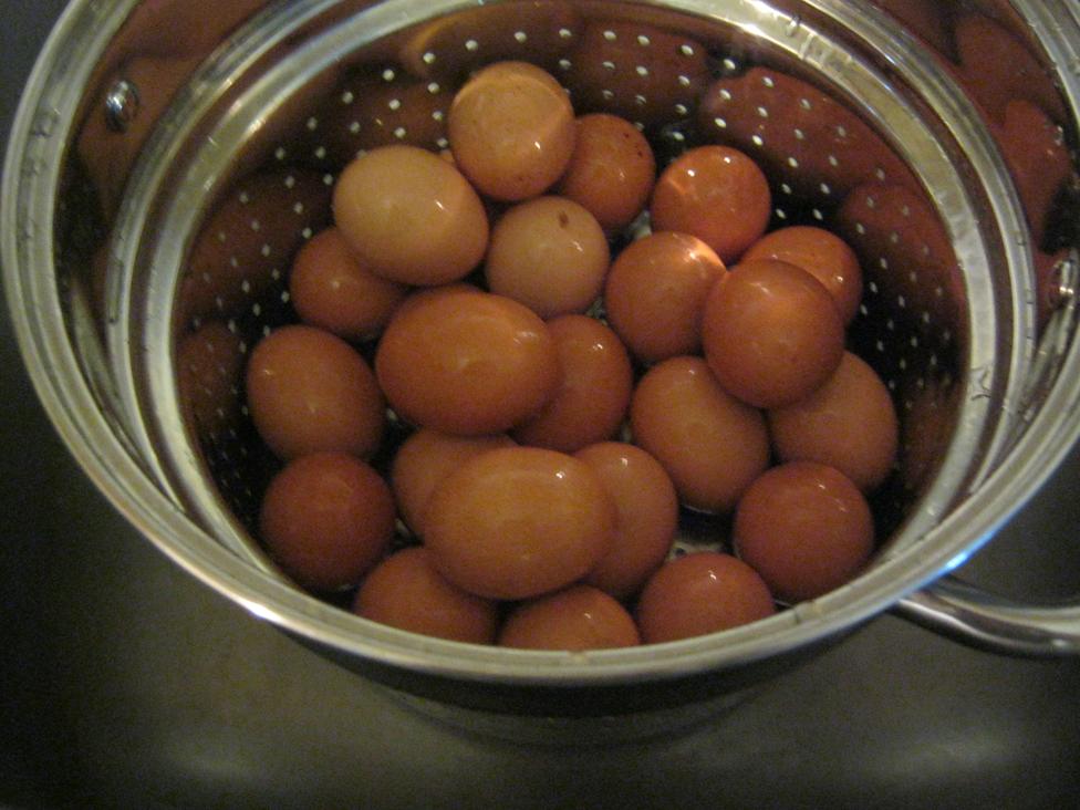 Pickled Eggs Yogurt Hydro