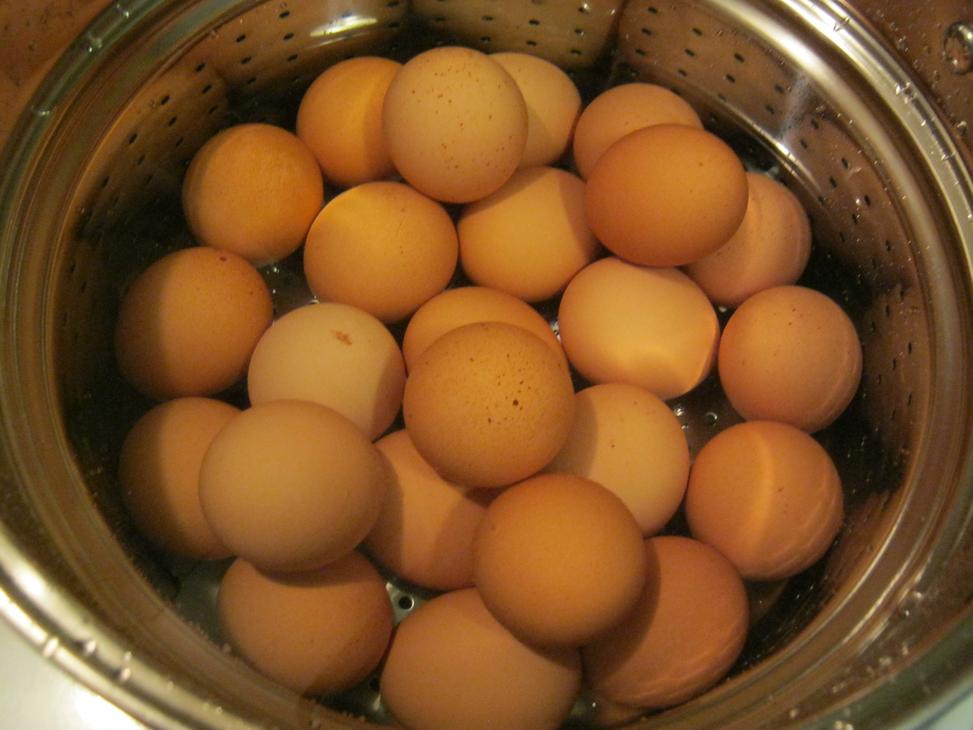 Pickled Eggs Yogurt Hydro